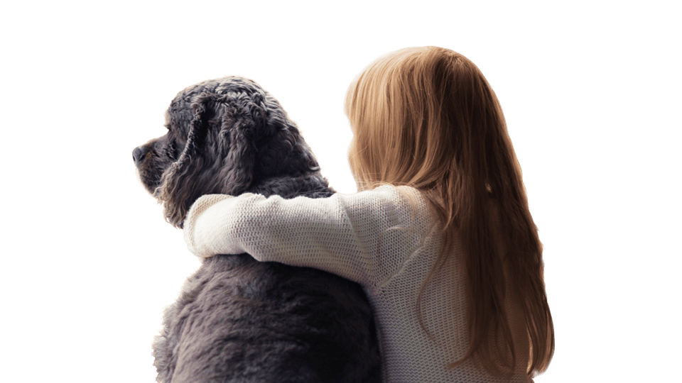 Shining Medicin Bære Hund | Se hvad du skal gøre ved skader eller sygdom | Alka