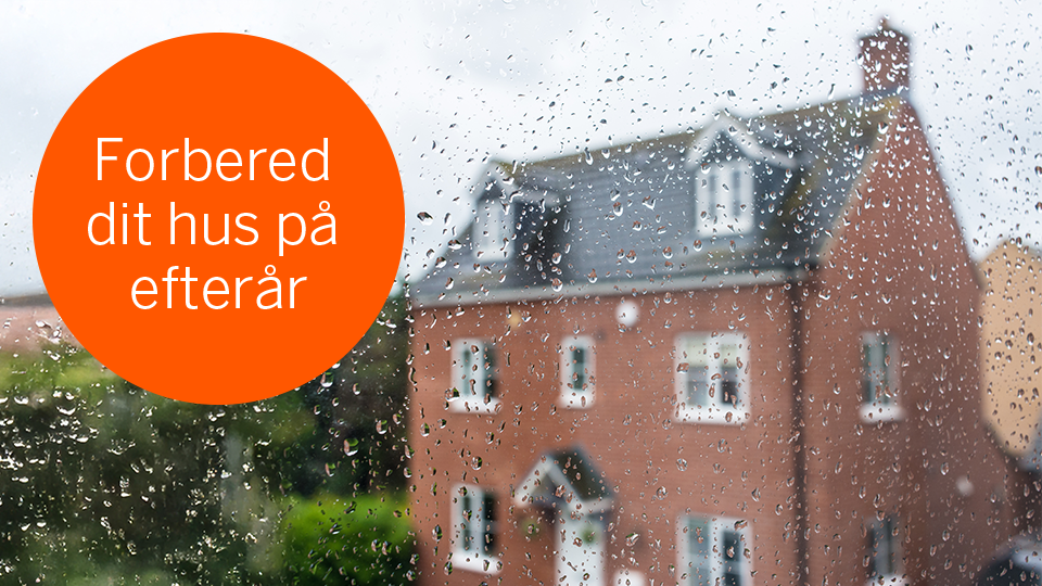 Husforsikring hos Alka