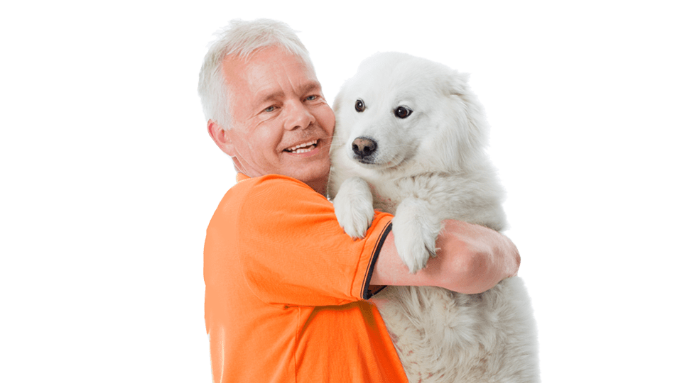 Som hundeejer skal du have din hund ansvarsforsikret, det er lovpligtigt