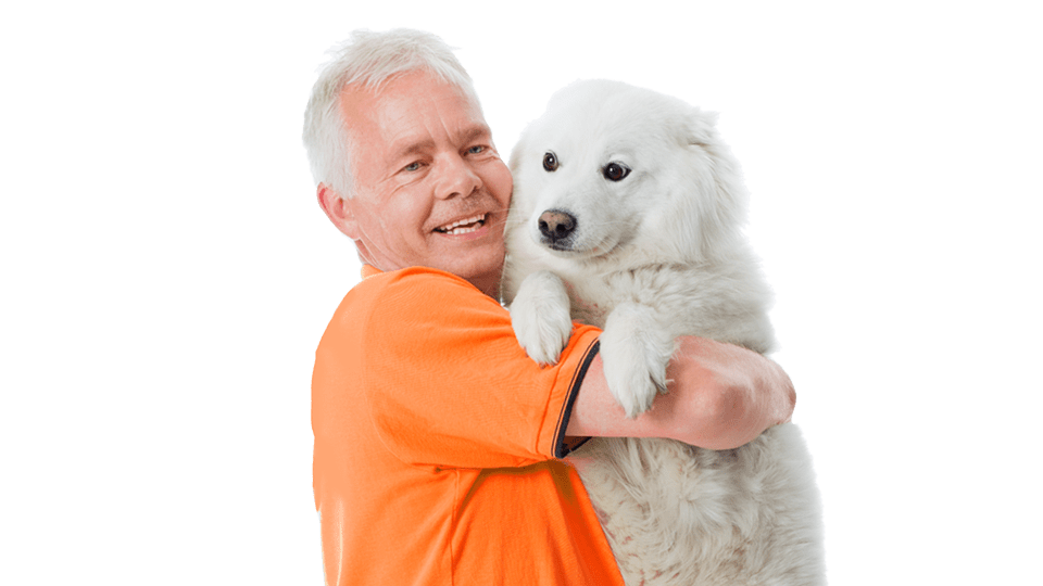 nødsituation Ren hjemme Hundesygeforsikring til din hund | Alka